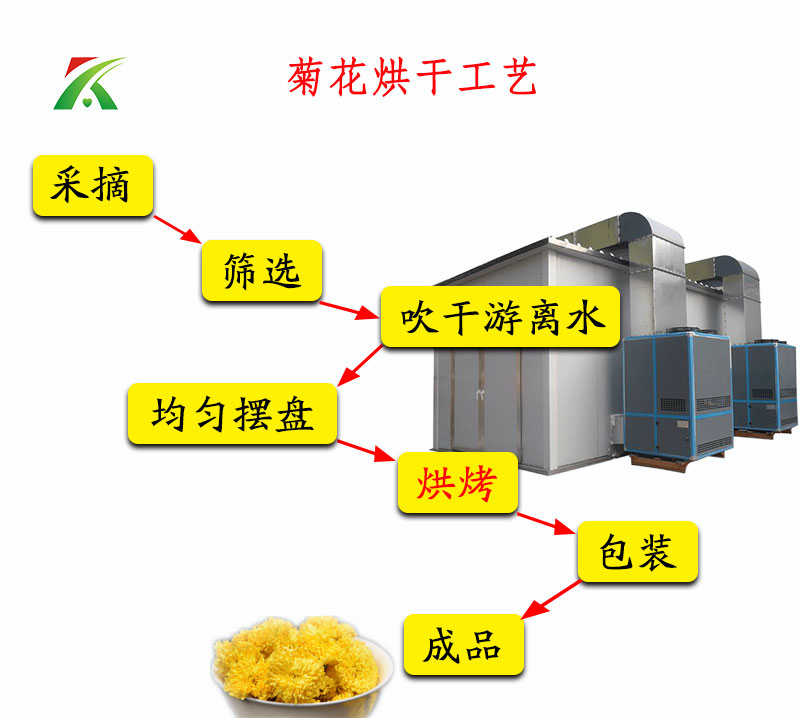 菊花烘干流程